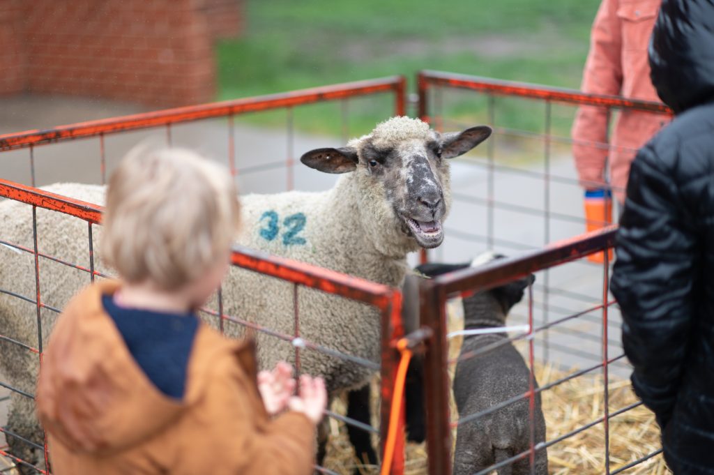 Dordt Ag Day Photo